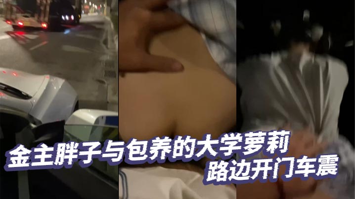 金主胖子与包养的大学萝莉路边开门车震