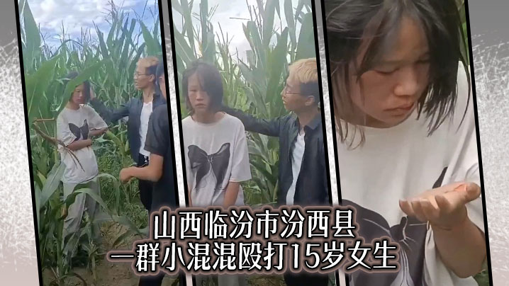 山西临汾市汾西县 一群小混混殴打15岁女生