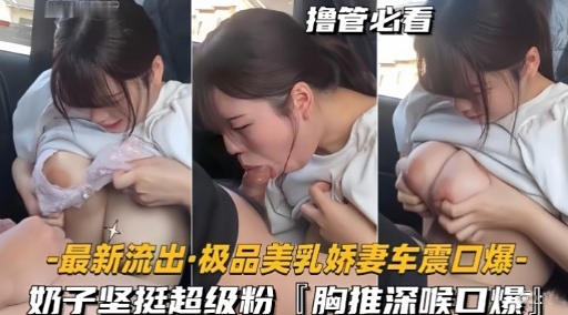 最新流出·极品美乳娇妻车震口爆