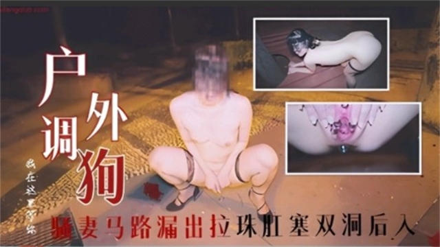 国产最新推特大神调教母狗骚妻公园马路露出啪啪拉珠肛塞双洞后入